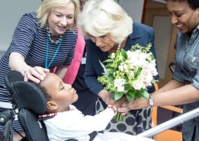 Trustees meet Her Majesty The Queen