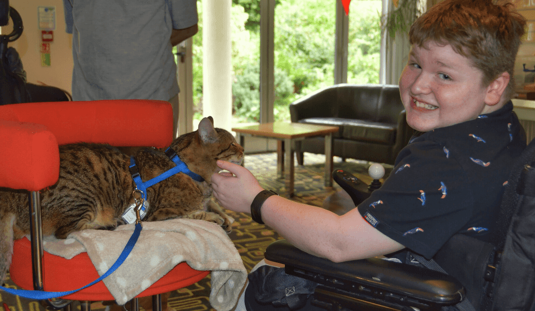 Jasper with pat cat leo_1200x600