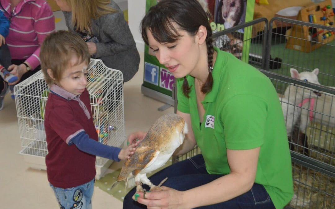 finley with owl at HDH_1500x900