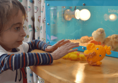 How we celebrate Easter at the local children’s hospice