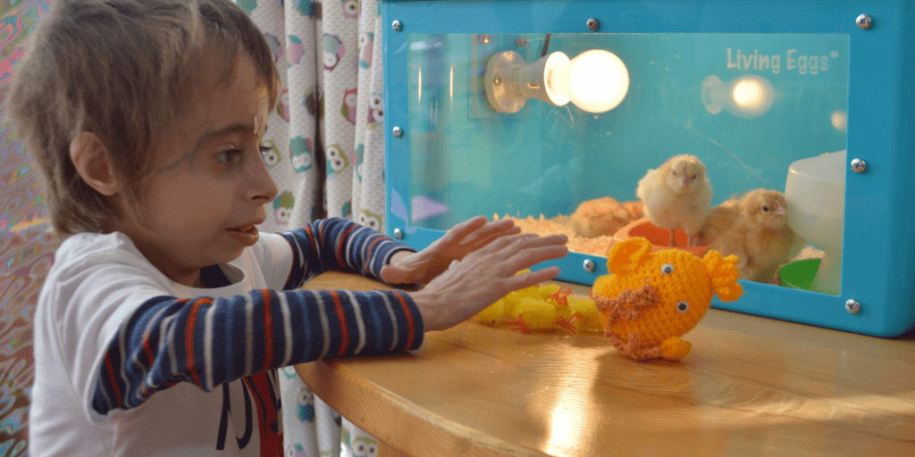 finley with easter chicks at HDH_1000x500