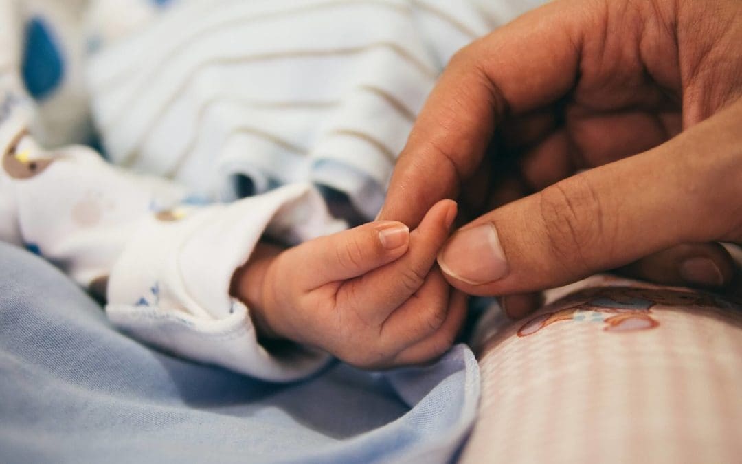 adult and child hand photo_1900x1400