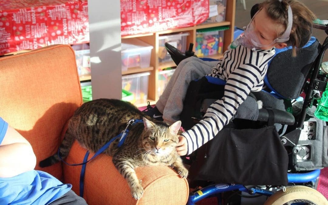 meriel with leo therapy cat_1500x1000