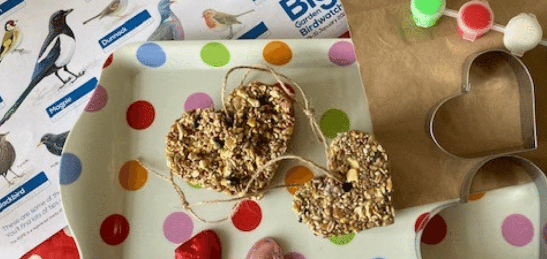 heart bird feed on string_1200x500