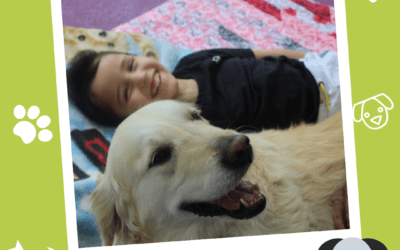 Gift of a PAT Dog