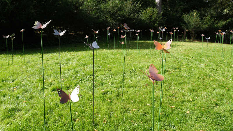 Garden of memories butterflies A grassy area full of metal butterfly garden ornaments.