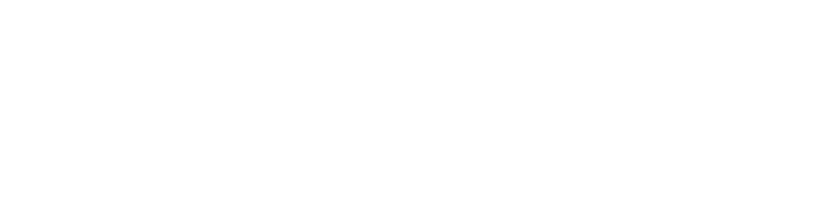 Working Towards Investors in Diversity Silver Logo