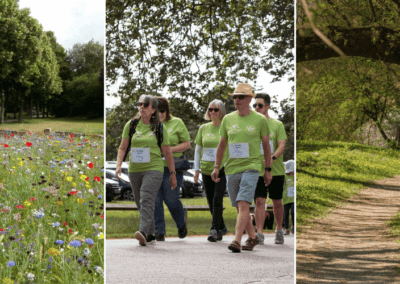 The benefits of walking for grief
